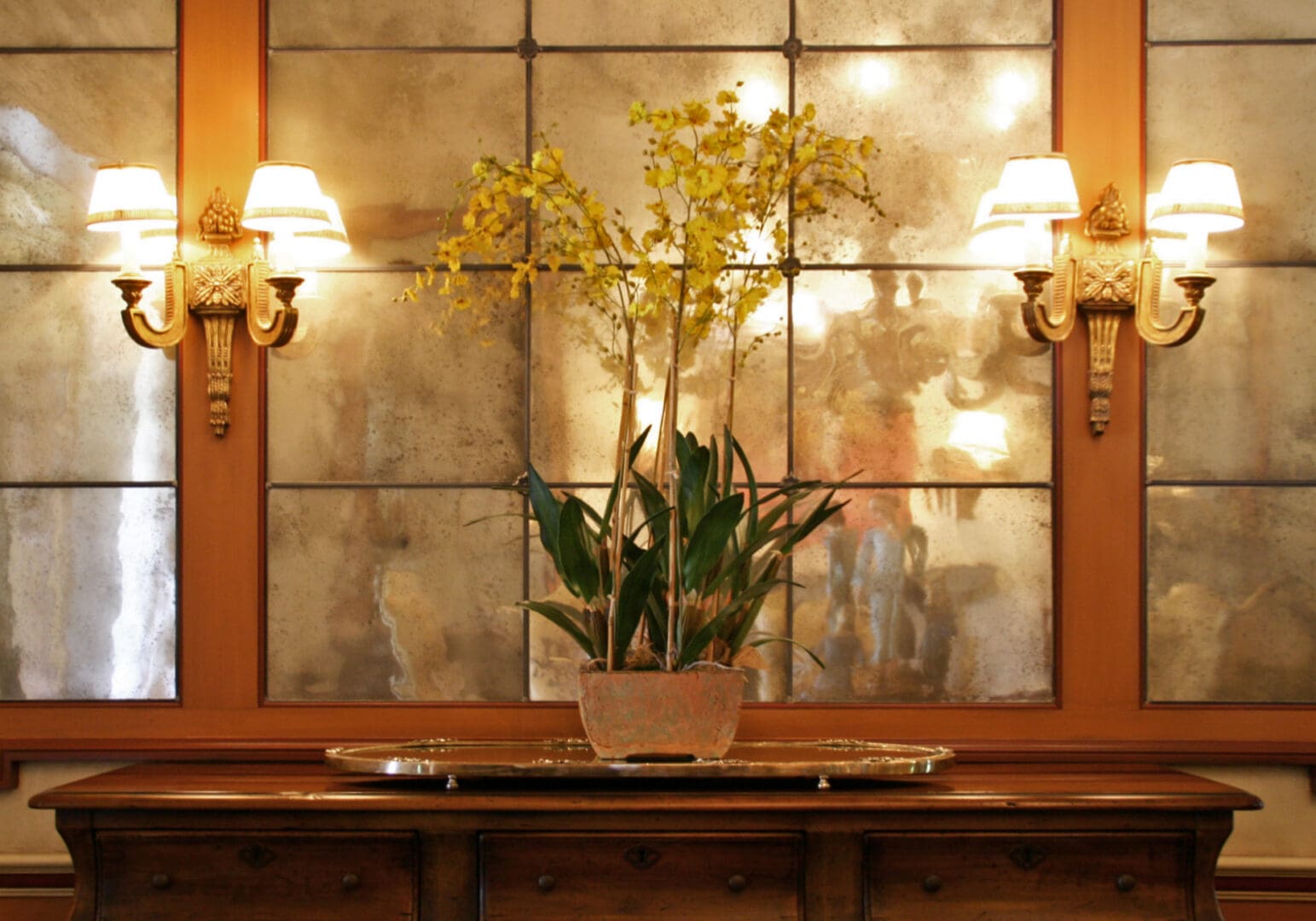 A plant in a pot on top of a table.